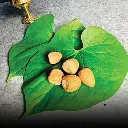 WhatsApp Image 2025-05-13 at 1.47.54 PM (2).webp